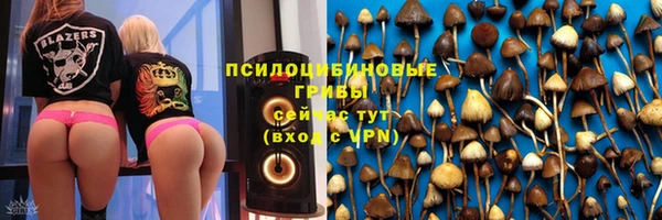 спиды Покров