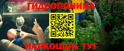 мдпв Пушкино