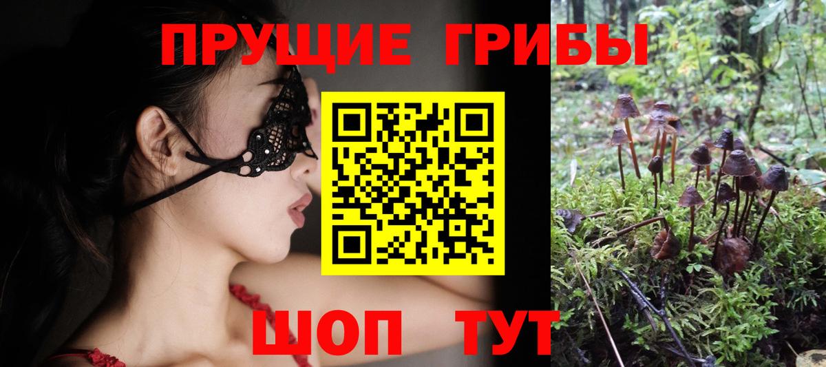 Тихорецк  Галлюциногенные грибы Psilocybe  Вход с VPN 